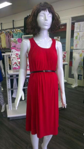 Belted Feeding Dress